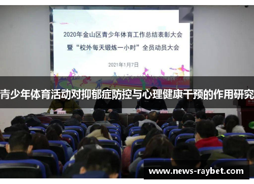 青少年体育活动对抑郁症防控与心理健康干预的作用研究
