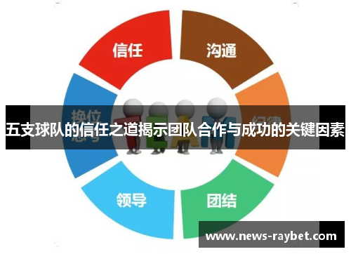 五支球队的信任之道揭示团队合作与成功的关键因素