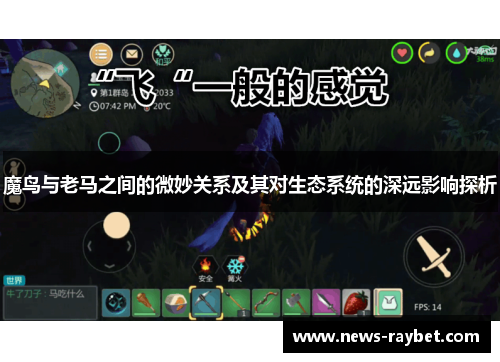 魔鸟与老马之间的微妙关系及其对生态系统的深远影响探析
