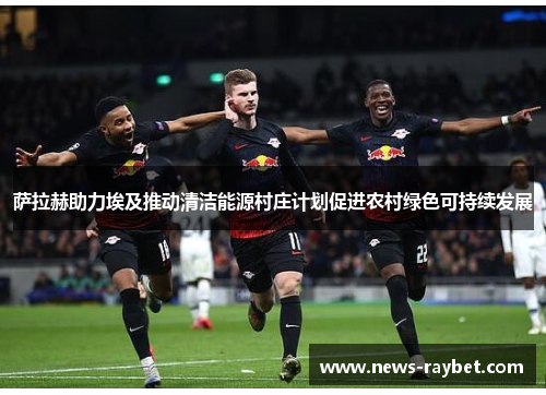 萨拉赫助力埃及推动清洁能源村庄计划促进农村绿色可持续发展
